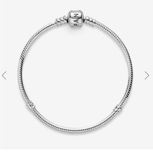 7.9 Pandora Charm Bracelet
